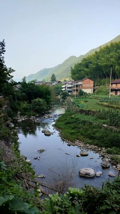 富-杉-晴-民宿