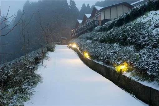 衿-日-林-民宿